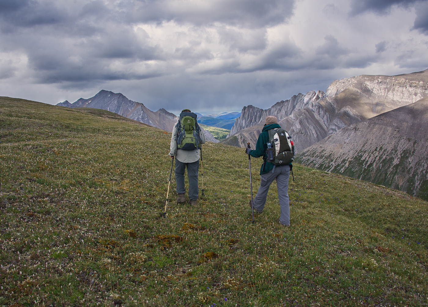 Willmore Wilderness Park, Rocky Mountains, Alberta, Canada